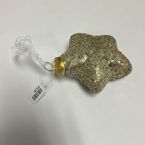 Terrain Glitter Star Ornament Silver